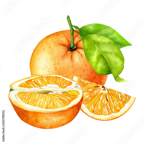 Watercolor Orange Composition With Citrus Slice, Half and Green Leaves