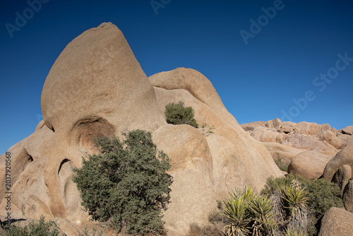Skull Rock in Joshua Tree National Park