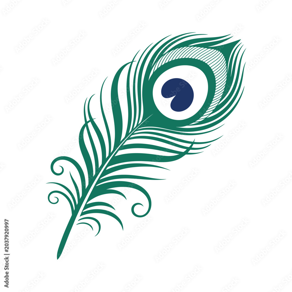 Obraz premium Colorful peacock feather vector illustration with eye-inspired design isolated on white background