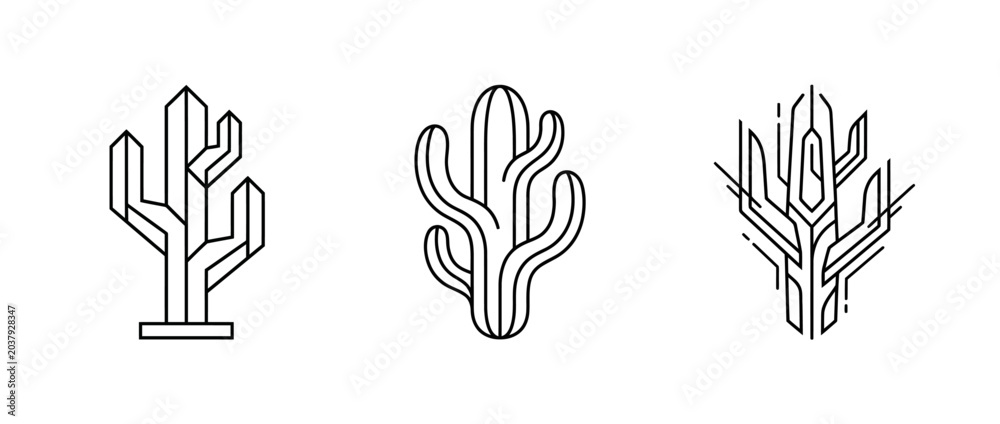Fototapeta premium Geometric cactus illustrations in outlined style on white background