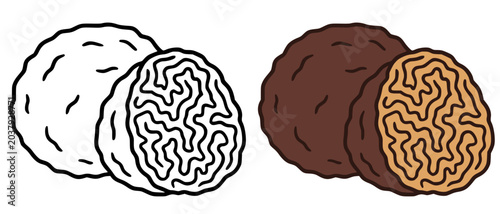Truffle minimalist icon, in line art and colored design, for coloring page