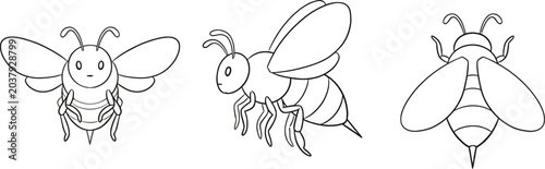 Canvas-taulu Three Bee Line Drawings On A White Background Depicting Insect Anatomy And Fligh