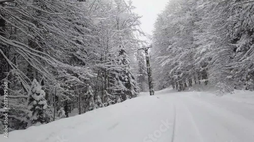 Filming from the car on a forest road in a snow-covered forest. In a leafless deciduous forest covered in snow in winter
