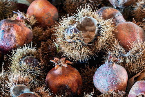Rustic Autumn Still Life — Wicker Basket with Dried Pomegranates, Chestnuts in Burrs and Wheat Ears