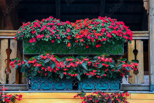 Red and pink impatiens and begonia flowers in decorative metal boxes. Vibrant red and pink flowers blooming in ornate metal planters on wooden chalet balcony creating cozy rustic exterior decor