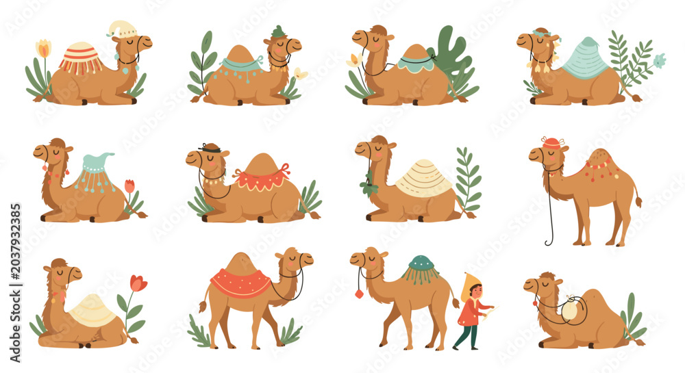 Obraz premium Set of twelve cute camel illustrations in different poses decorated with colorful blankets and surrounded by desert plants.