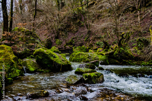 Photography « Cours d’eau naturel serpentant entre rochers et végétation dense »
