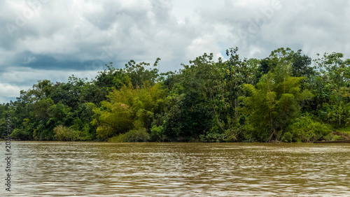 Wide view of a muddy tropical river flowing alongside a dense green jungle shoreline under a dramatic cloudy sky.