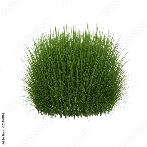 Small green grass bush isolated element isolated on transparent background