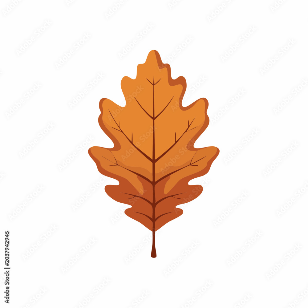 Fototapeta premium Autumn Oak Leaf Illustration