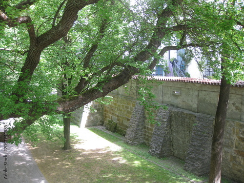 Tableau sur toile Stadtmauer Amberg