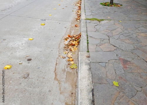 Valokuva Hojas secas de otoño acumuladas en el cordón de la calle urbana obstruyen las bocas de desagüe pluvial por falta de limpieza