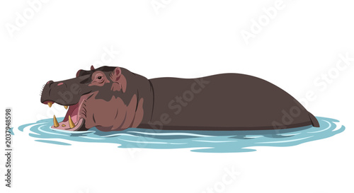 Photography Hippopotamus in water with mouth open, illustration