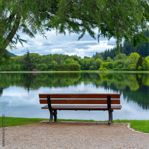Park Bench by a Lake With Trees in the Background During Daytime