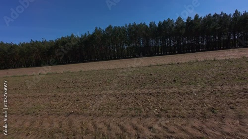 FPV Drone Flight Over Agricultural Field and Pine Forest