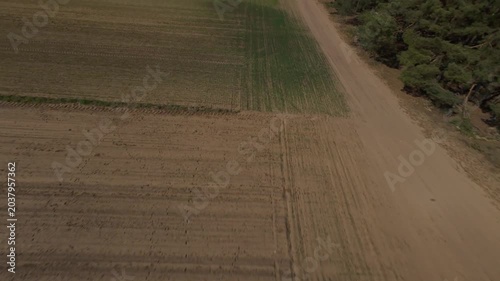 FPV Drone Flight Over Agricultural Fields and Forest Landscape