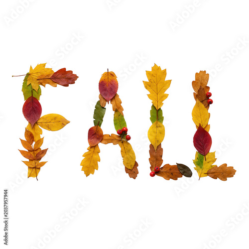 Autumn leaves forming the word fall isolated on transparent background