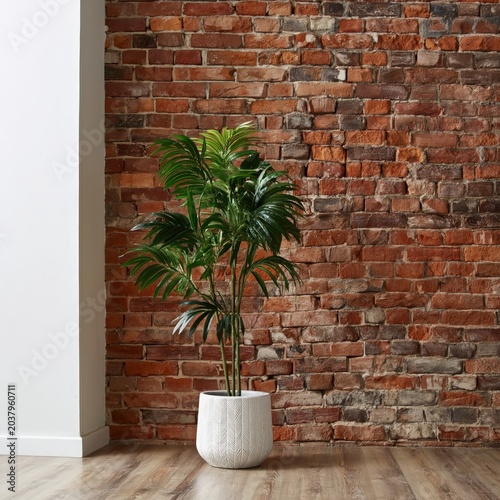 Indoor Plant Stands Against a Rustic Brick Wall in a Modern Setting