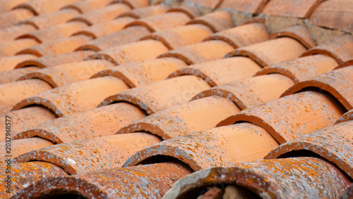 Weathered terracotta roof tiles with lichen and moss texture on traditional tiled rooftop