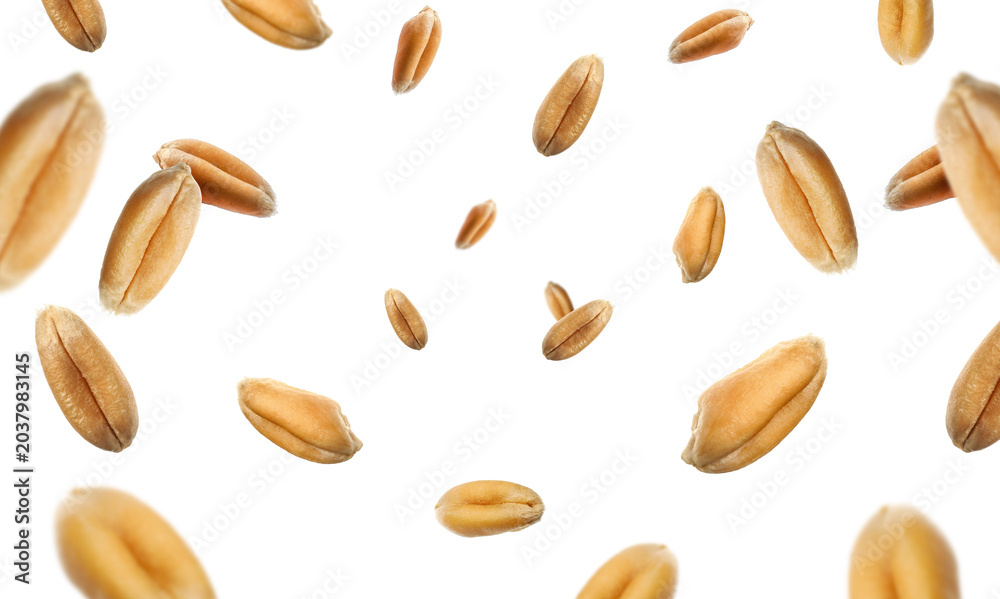 Naklejka premium Wheat grains swirling in air against white background