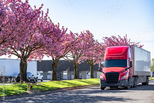 Red big rig semi truck with dry van semi trailer running on the road with spring blooming trees on the side