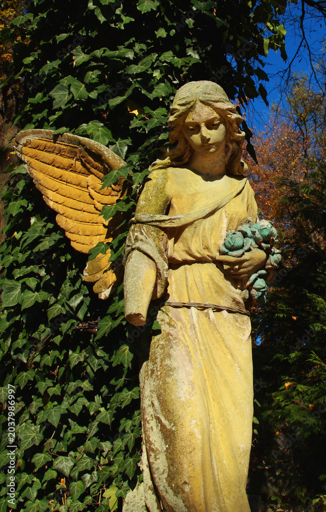 Obraz premium Beautiful angel statue with wings surrounded by ivy, symbolizing hope, protection and spiritual guidance.