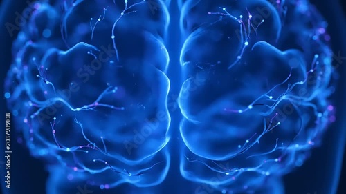 The human brain is visualized in a digital illustration with glowing blue neural connections and neurons.
