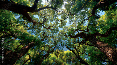 Serene nature background featuring a vibrant green forest canopy with bright sky showing through, digital art landscape