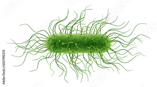 Green rod-shaped microbe with filamentous appendages, microbiological illustration