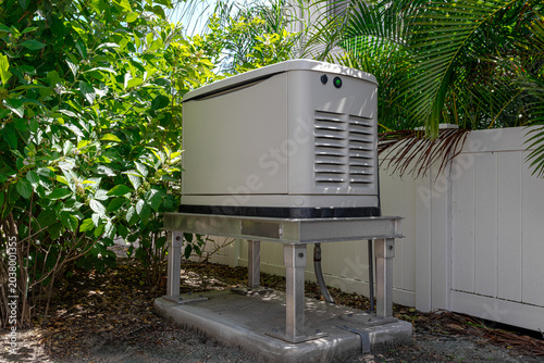 Fotografie A wide horizontal view of a whole-house standby generator mounted on an elevated