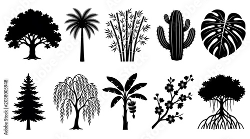 Trees Plants Nature Silhouette Set Oak Palm Bamboo Cactus Tropical Black White Icon