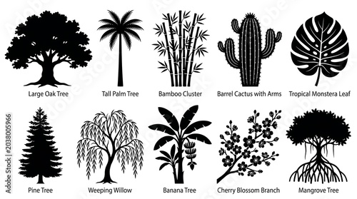 Trees Plants Nature Silhouette Set Oak Palm Bamboo Cactus Tropical Black White Icon
