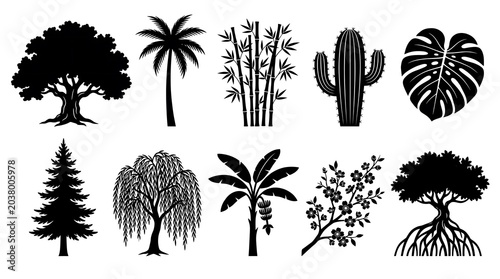 Trees Plants Nature Silhouette Set Oak Palm Bamboo Cactus Tropical Black White Icon