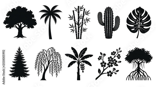 Trees Plants Nature Silhouette Set Oak Palm Bamboo Cactus Tropical Black White Icon