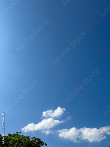 Foto Expansive clear sapphire firmament stretching above green foliage, hosting gentl