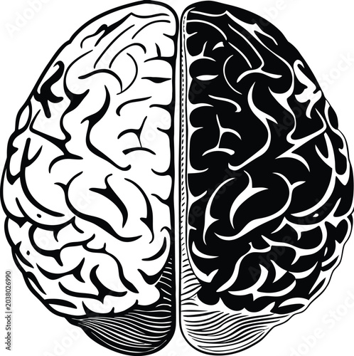 human brain vector illustration
