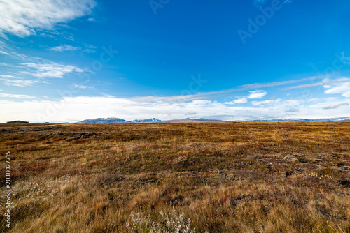 Iceland Landscape