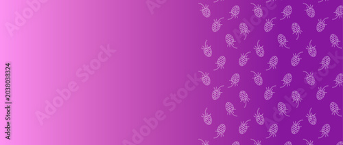 Photos Purple background with blackberries