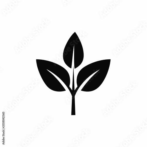 Minimalist foliage illustration displaying natural growth and organic botanical element with fresh