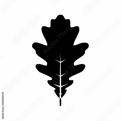 Minimalist oak leaf illustration for graphic design and nature themed projects isolated on white