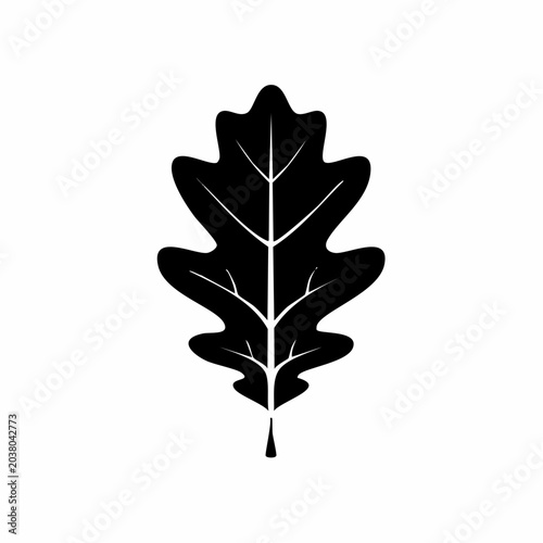 Minimalist Oak Leaf Illustration: A Symbol of Nature's Resilience and Timeless Beauty