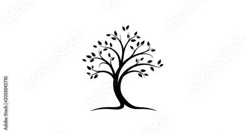 Black silhouette of a tree.