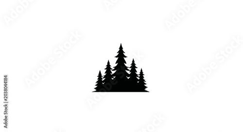 Foto Black silhouette of pine trees.