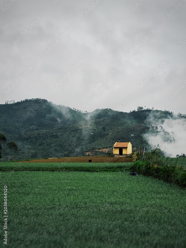 Fototapeta premium poombarai village / kodaikanal