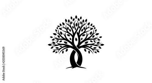 Foto Tree Silhouette with Leafy Branches.