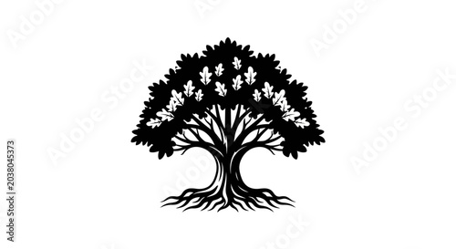 Tree Silhouette with Exposed Roots.