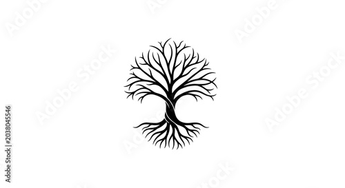 Cuadro en lienzo Tree with roots and branches.