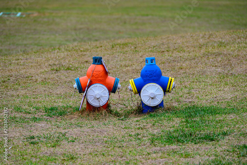 Tableau sur toile Two brightly colored fire hydrants stand on patchy grass, contrasting vividly against the soft natural background