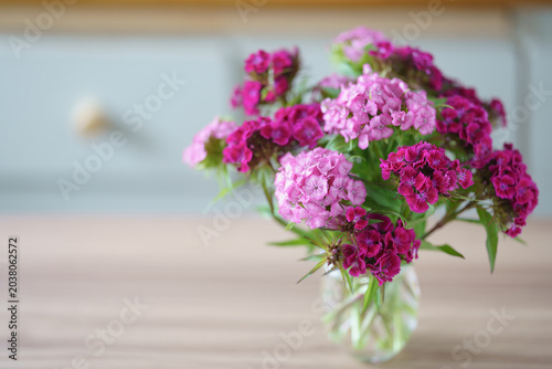 テーブルの上に飾られた美女撫子の切り花