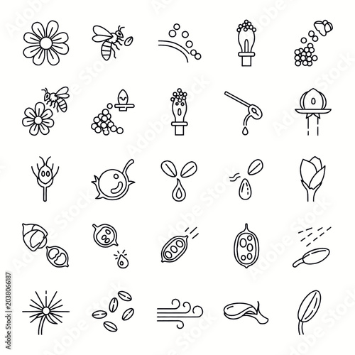 Bild auf Leinwand Collection of Line Icons Representing Plant Pollination and Seed Dispersal Processes